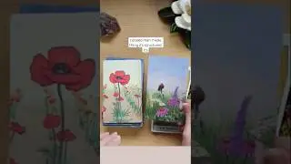 Spacious tarot deep dive 🫶🏻✨ emperor & empress cards #tarot