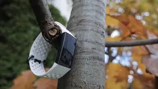 Wszystko, co musisz wiedzieć o Fitbit Charge 3