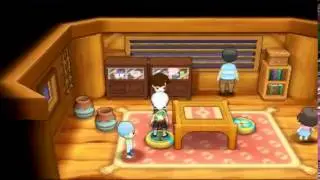 TM56 Fling [ORAS]