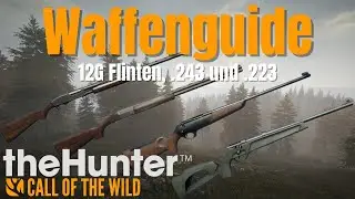 Waffenguide f&uuml;r Anf&auml;nger - 12G Flinten, .243 & .223 (ohne DLC)