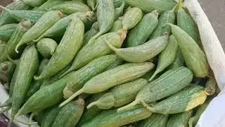 15/4/2025 GKP ❤️ mandi Thok bhaw Machali🐬🦈🐠 aur sabji🍅......