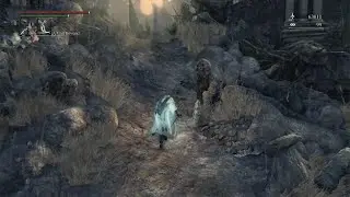 Strolling through Hunters Nightmare