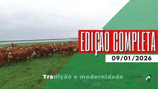 PECUÁRIA EM FOCO - EDIÇÃO COMPLETA - 09/01/2026