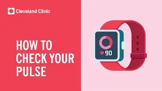 How To Check Your Pulse