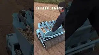 Plant Garlic Effectively with DGG-5 Garlic Seed Planter