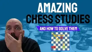 Amazing Chess Studies and how to solve them - Learn to figure out WHY the pieces are WHERE they are!