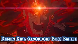 Demon King Ganondorf Boss Battle! The Legend of Zelda: Tears of the Kingdom Gameplay! (FULL FIGHT)