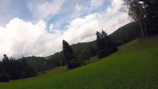 Dancing with trees [Vol. 1]