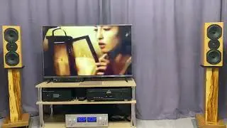 RUSICH RE 250+Marantz DV 7001+Visonik Evolution +AcusticLab