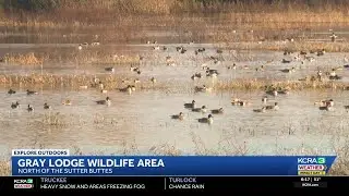 Explore Outdoors | Gray Lodge Wildlife Area