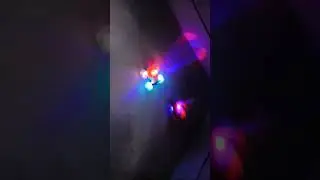 ##small car fight##
