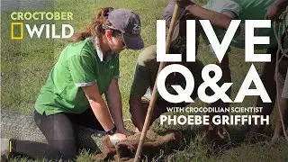 Gharials; Everything You Need To Know | Croctober Live Q&A | National Geographic Wild UK