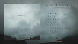 Augure - 06 A Cloud of Gray (APNEA LP)