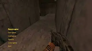 Half-Life apprehension short