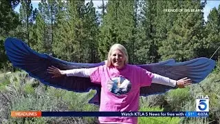 Big Bear Eagle Nest Cam Activist Sandy Steers Dies