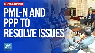 High-Powered PPP Body to Raise &lsquo;Unresolved&rsquo; Issues | Dawn News English