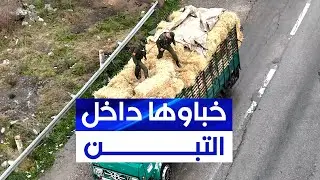 درك أم البواقي يفكك شبكة إجرامية خطيرة ويحجز كمية كبيرة من المهلوسات مخفية وسط رزم التبن