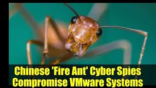 Chinese 'Fire Ant' Cyber Spies Compromise VMware Systems