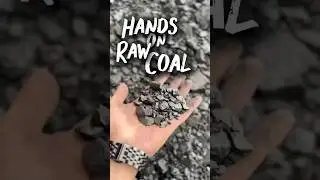 Hands on Raw Coal | Real Mining Experience at Mach Coal Pvt Ltd