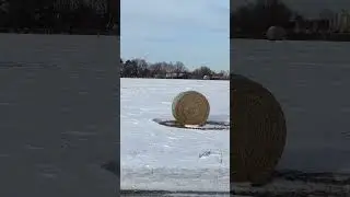 Hay Bale to Snowman&rsquo;s Creations? #shorts