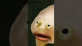 It's Wednesday my dudes.