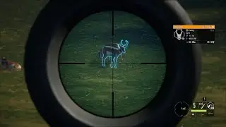 theHunter: Call of the Wild harvest a diamond pronghorn in Silver ridge peaks