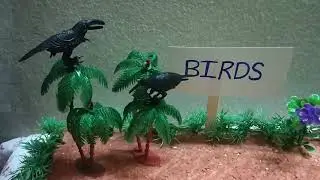 School project work for birds