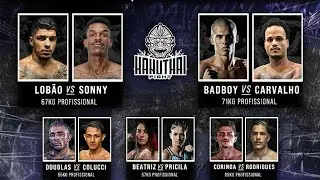 Hanuthai Fight II.