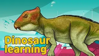 Dinosaur Archaeoceratops Collection | herbivorous dinosaur Archaeoceratops | 공룡 아르카에오케라톱스