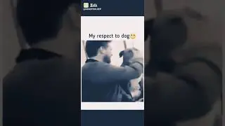 #dog #funny #video #😂😂 #slap #drama #india