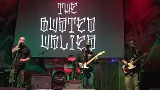 Transplants Brewing Company live Ska/punk bands the 23rd Thursday night!