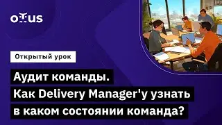 Аудит команды. Как Delivery Manager'у узнать в каком состоянии команда? // Курс &laquo;Delivery Manager&raquo;