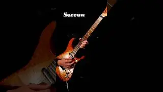 Sorrow (Pink Floyd) Guitar Solo Short #pinkfloyd #electricguitar #sorrow  #guitarcover