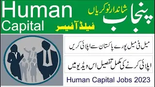 Punjab Human Capital Investment Project (PHCIP) jobs 2023 |