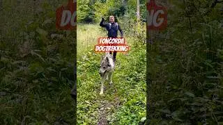 24km so psom - Kremnick&eacute; vrchy