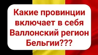 Какие провинции включает в себя Валлонский регион Бельгии?
