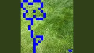DLMA