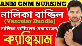 Vascular Bundle || নালিকা বান্ডিল || ক্যাম্বিয়াম || ANM GNM NURSING