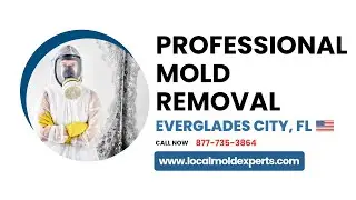 Mold Removal Everglades City FL | ☎ 877-735-3864 | Mold Removal and Remediation Services in Florida