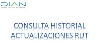 consulta historial actualizaciones rut DIAN 2020