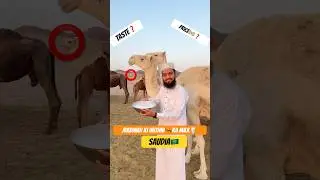 Madinah ki unthni🐪 Ka Milk🥛😱||Saudia🇸🇦||#vlog #minivlog #trending #youtubeshorts #ytshorts