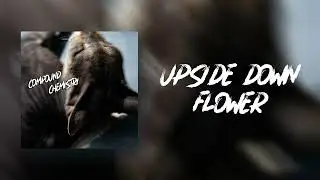 Compound Chemistry - Upside Down Flower (AUDIO)