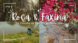 Da Cozinha ao Passeio na Natureza!