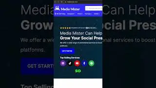 Media Mister vs. Reality &ndash; Is It Worth Your Money?