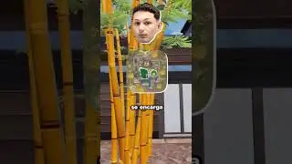 Mi Spot Definitivo para el Mundial de Fortnite