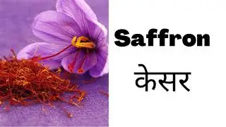 Names of Herbs &  Spices in English and Nepali | मसलाको नाम | | English vocabulary .