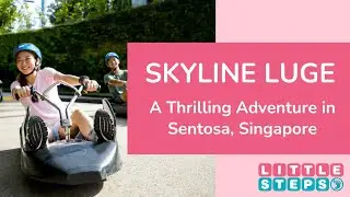 Skyline Luge - A Thrilling Adventure For Kids In Sentosa, Singapore