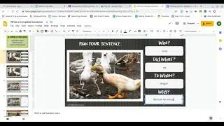 Picture Prompt Lesson