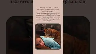 #cats #catfeeling #cathealing #catenergy #catbehavior  #felinepower #cathealth #catcare