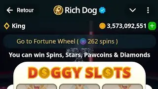إصدار جديد  Rich Dog   وطريقة زيادة التعدين و شراء عملة من البوت   2026